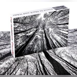 Bgraamiens Black and White Forest 1000 Piece jigsaw Puzzle